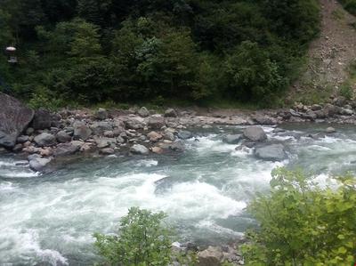 Puğari Apart