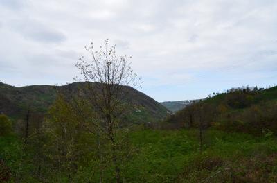 Bigoşa Bungalov