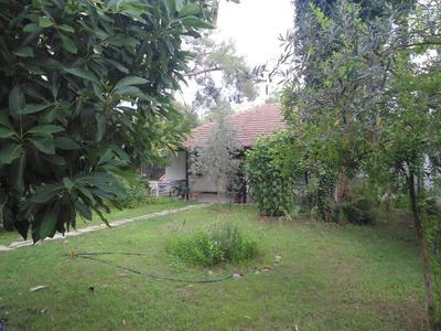 Bungalow Halil