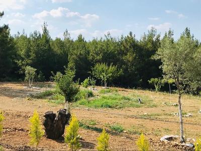 Baska Bir Yer Butik Otel