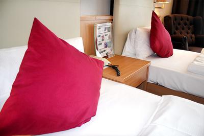 Hotel Brunnenhof International