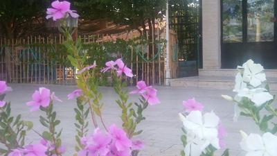Hasyurt Hotel