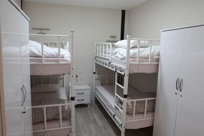 Rooster Hostel