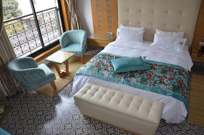 Hotel Villa Aralia