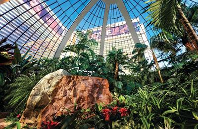 Mirage Las Vegas