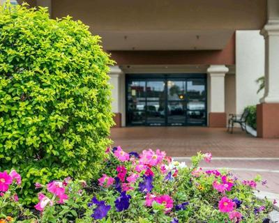 International Drive Hotel