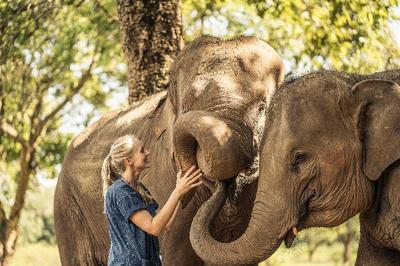 Anantara Golden Triangle Elephant Camp & Resort