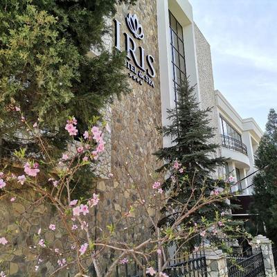 Iris Otel