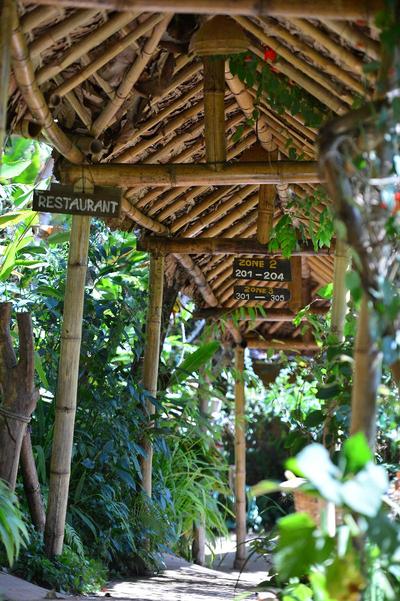 Phu Chaisai Mountain Resort & Spa Chiangrai
