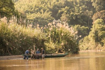 Four Seasons Tented Camp Golden Triangle
