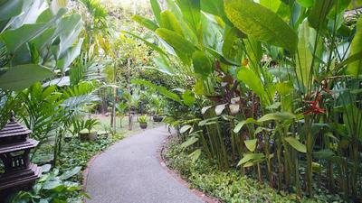 Yaang Come Village