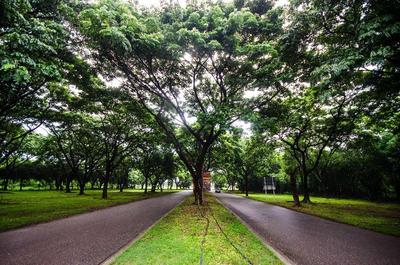 Tawa Ravadee Resort