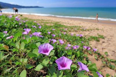 Ramada Khao Lak Resort