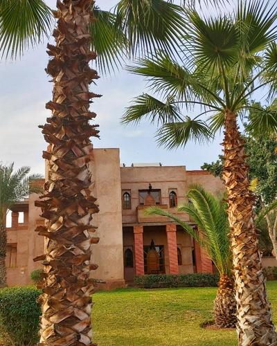 Riad La Maison des Oliviers