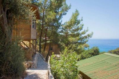Gunes Holiday