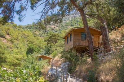 Gunes Holiday
