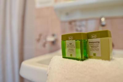 Logis Hotel Baratxartea
