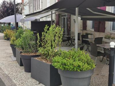 Logis Hotel Le Saint Savinien