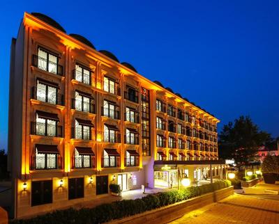 Anemon Bursa