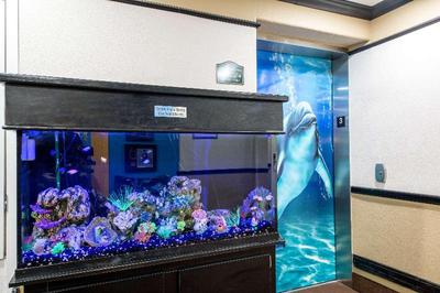 Quality Inn Suites Seaworld North