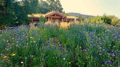 Les Cabanes Du Saleve