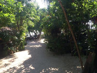 Haad Son Resort, Koh Phangan