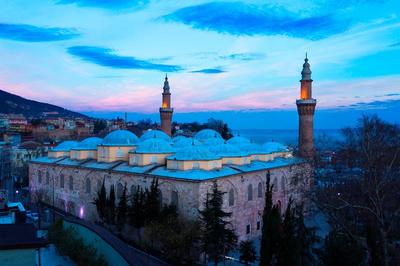 Kent Bursa