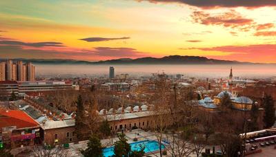 Kent Bursa
