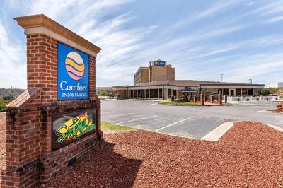 Comfort Inn & Suites near Danville Mall