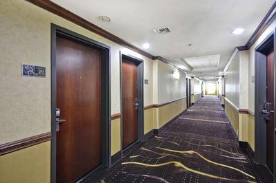 Hampton Inn & Suites Corpus Christi I-37 - Navigat