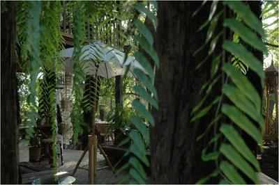 Fern Paradise Chiang Mai