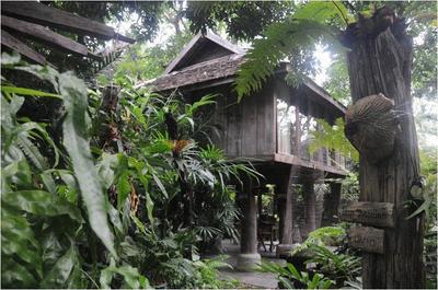 Fern Paradise Chiang Mai