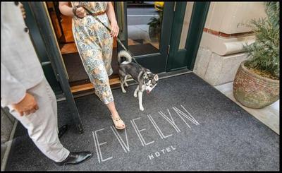 The Evelyn