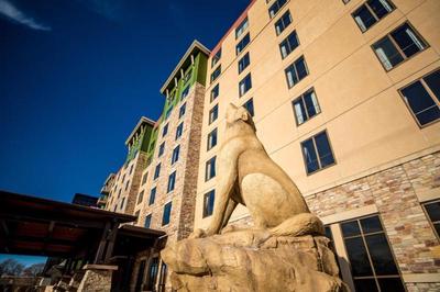 Great Wolf Lodge Minnesota