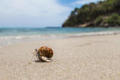 Anda Lanta Resort-Th4