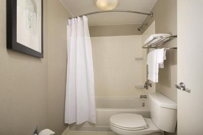 Springhill Suites Jacksonville Airport