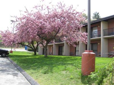 Magnuson Hotel Framingham