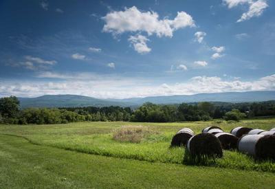 Best Western Bennington