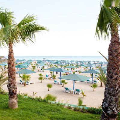 Paloma Oceana