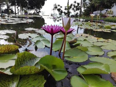 Arawan Krabi Beach Resort