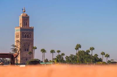 Riad Zinoun