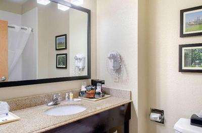 Comfort Inn & Suites Northshore Area