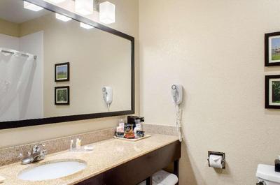 Comfort Inn & Suites Northshore Area