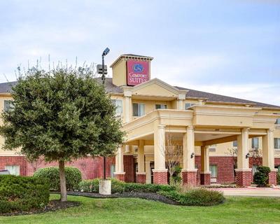 Comfort Suites Texas Ave.