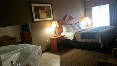 Comfort Inn Kalamazoo Area