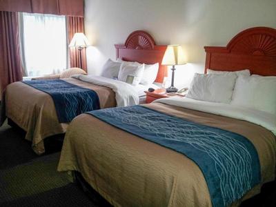 Comfort Inn Kalamazoo Area