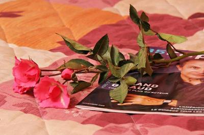 Hotel Camelia International