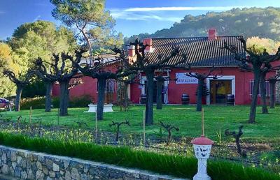 Les Pins Blancs De Provence