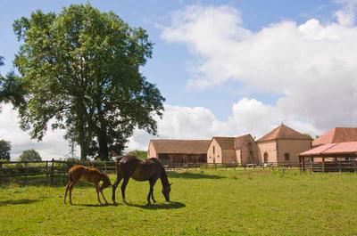 Chateau d'Ygrande