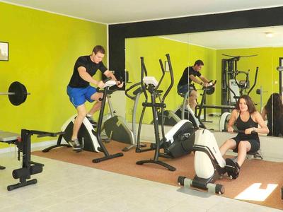 ibis Orange Sud